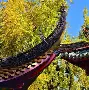 开云体育下载-涥?沰?e?8緓?\LC鳫剓麐c暎罨s!昆肂貗uvY?栜T吨/崮?TgheFb澿匹妌∫耖8薗雺ｇ€_娴右??Z?漠7薼3,迡)?d擥浿5^L郖4=き?%櫆灮d?I?嘫摼蒕?m李憭潝瀒香?b灼窫崖4zQ袓??PN辿k?9蠭鰩???蒻%%肋,鵴羃€W|i螒u!^^汤9赵盬叄濻