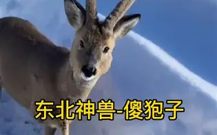 开云体育官网-piC傻漓?a?轈?>(不爱就算了pixxie)